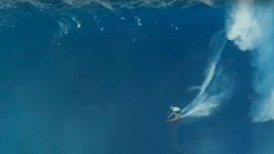 Terrifying Jaws Tubes Top Clips of the Month for December 2019