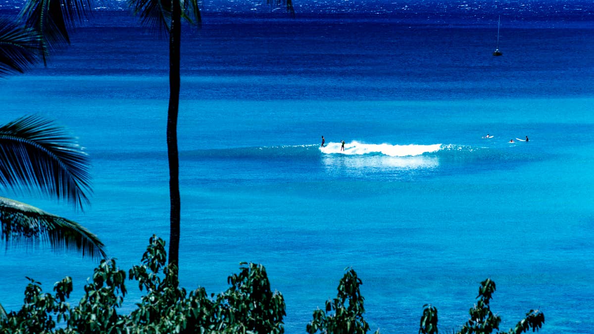 Usa hawaii surfing in waikiki